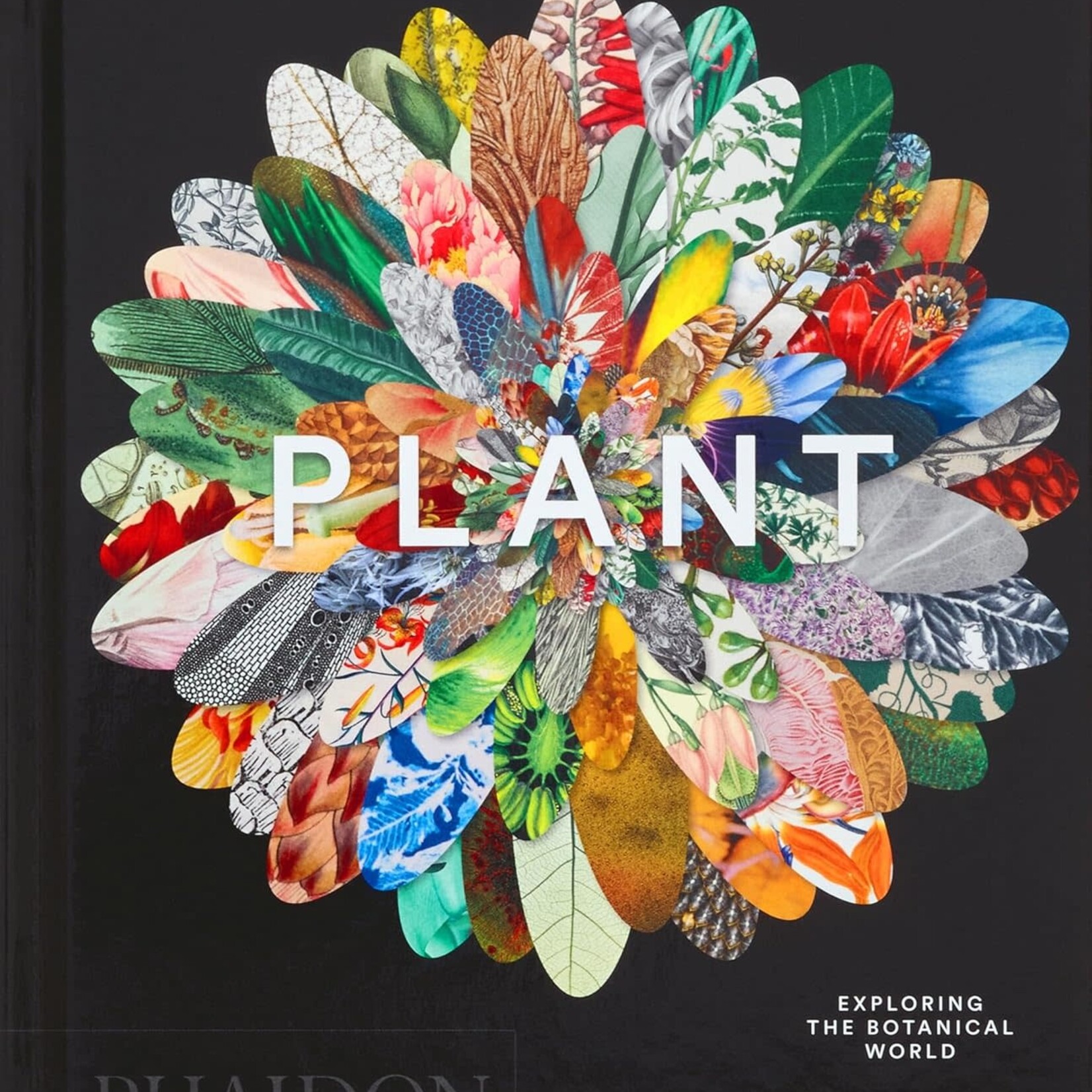 Book, Plant Exploring The Botanical World