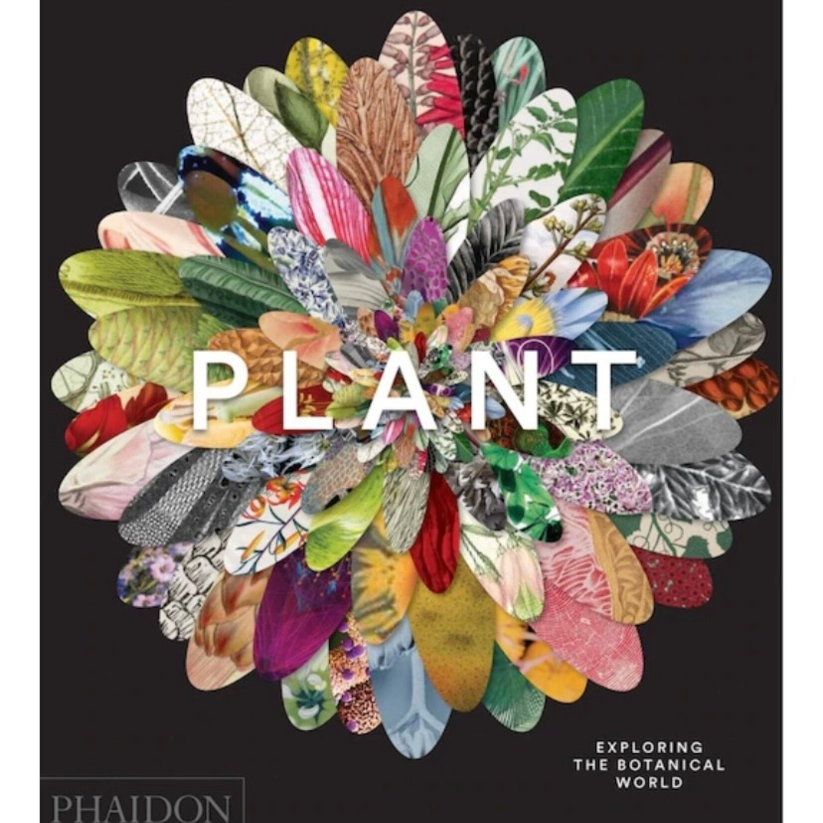 Book, Plant Exploring The Botanical World