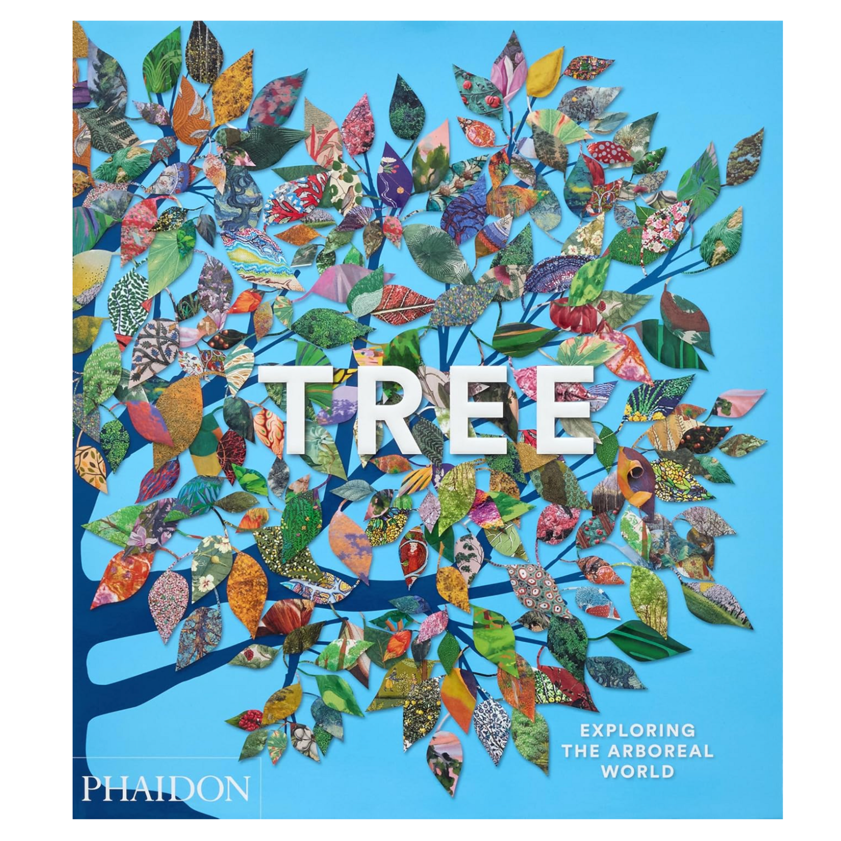 Book, Tree Exploring The Arboreal World