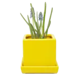 Pot, Cube w/s Yellow 3 in