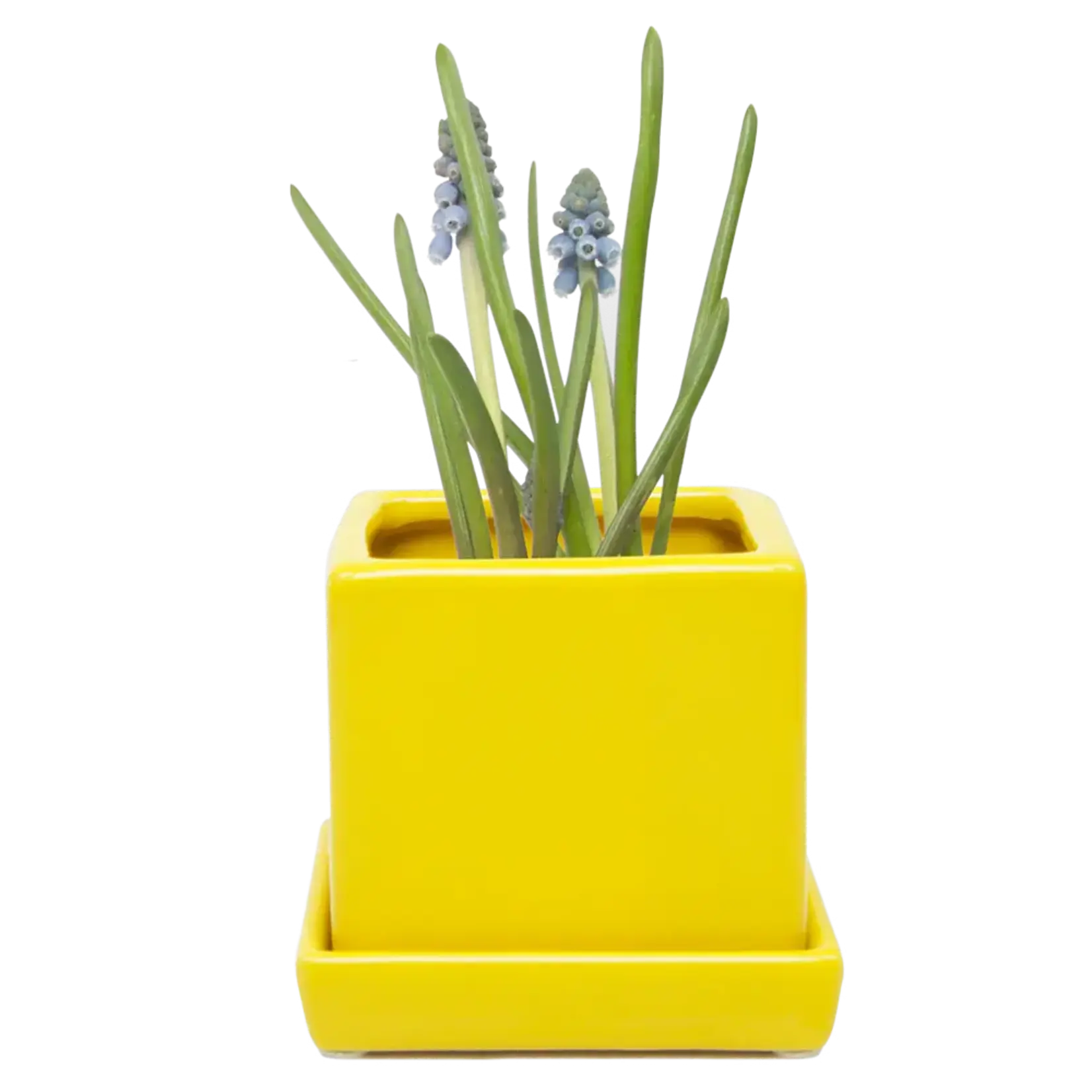 Pot, Cube w/s Yellow 3 in