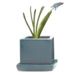 Pot, Cube w/s Hydro Blue 3 in