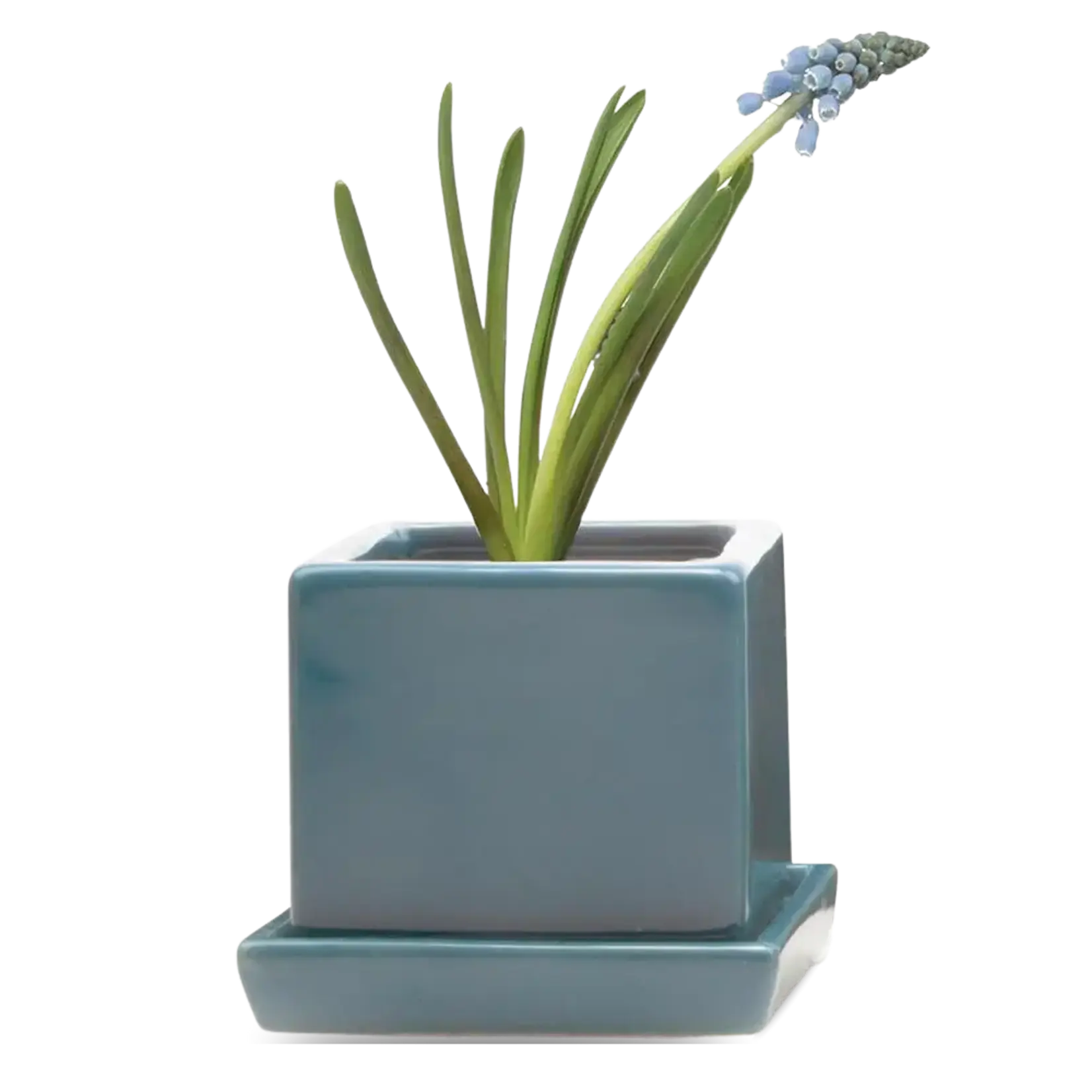 Pot, Cube w/s Hydro Blue 3 in