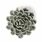 Ceramic Flower, Pewter Blue Zinnia