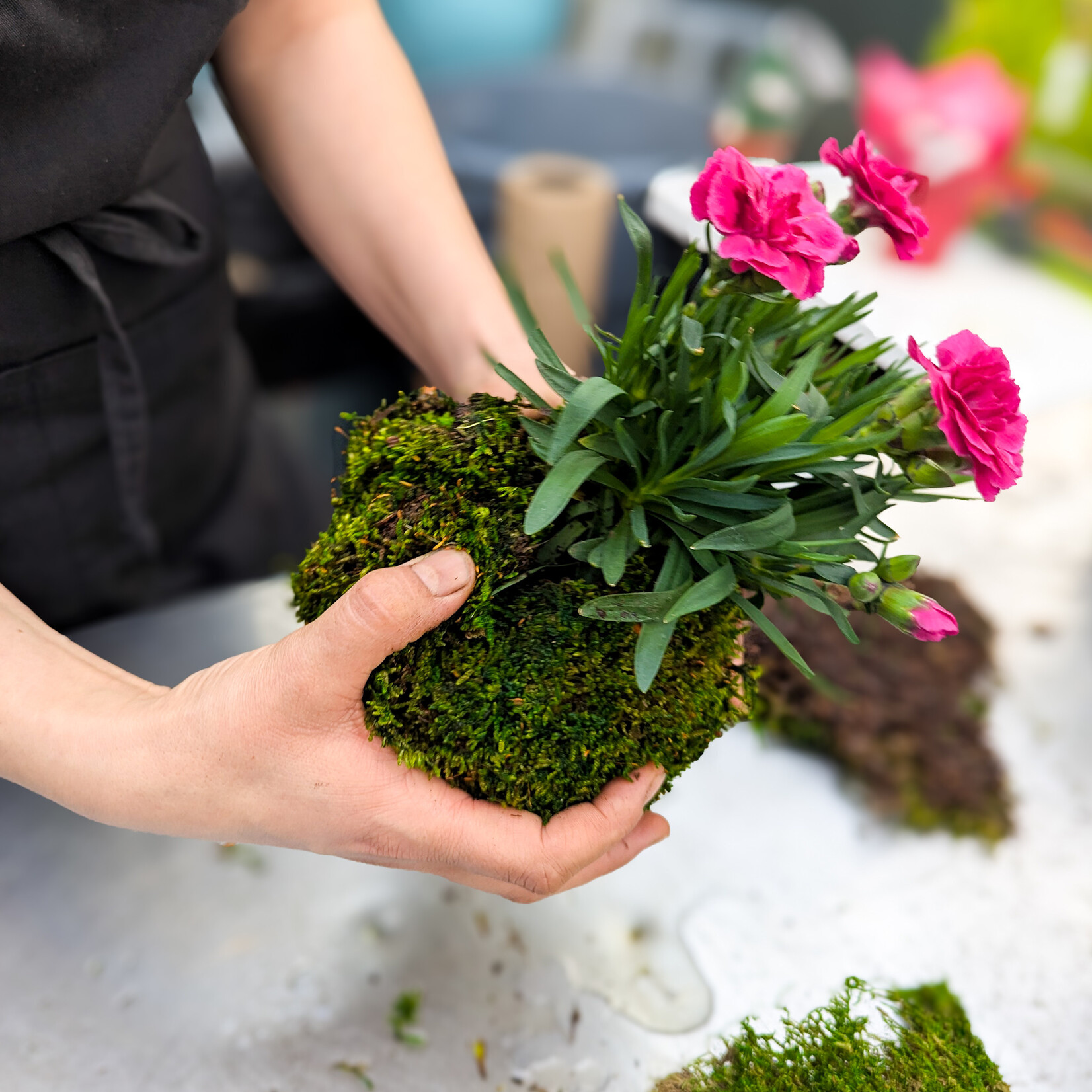 Workshop, Blooming Kokedama Mar 19 2026 6:30PM