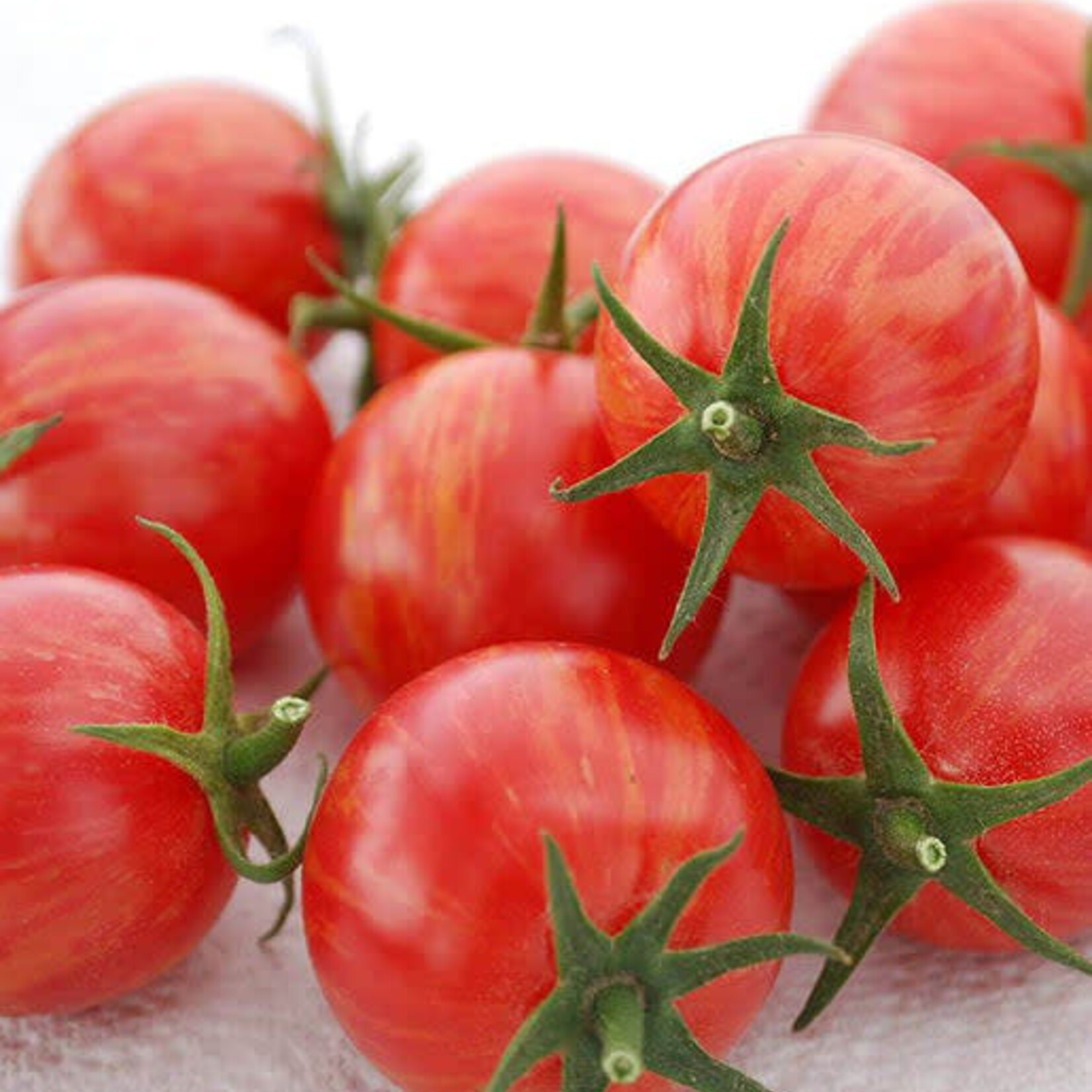 Seeds, Tomato Pink Bumblee Bee(West Coast Seeds)