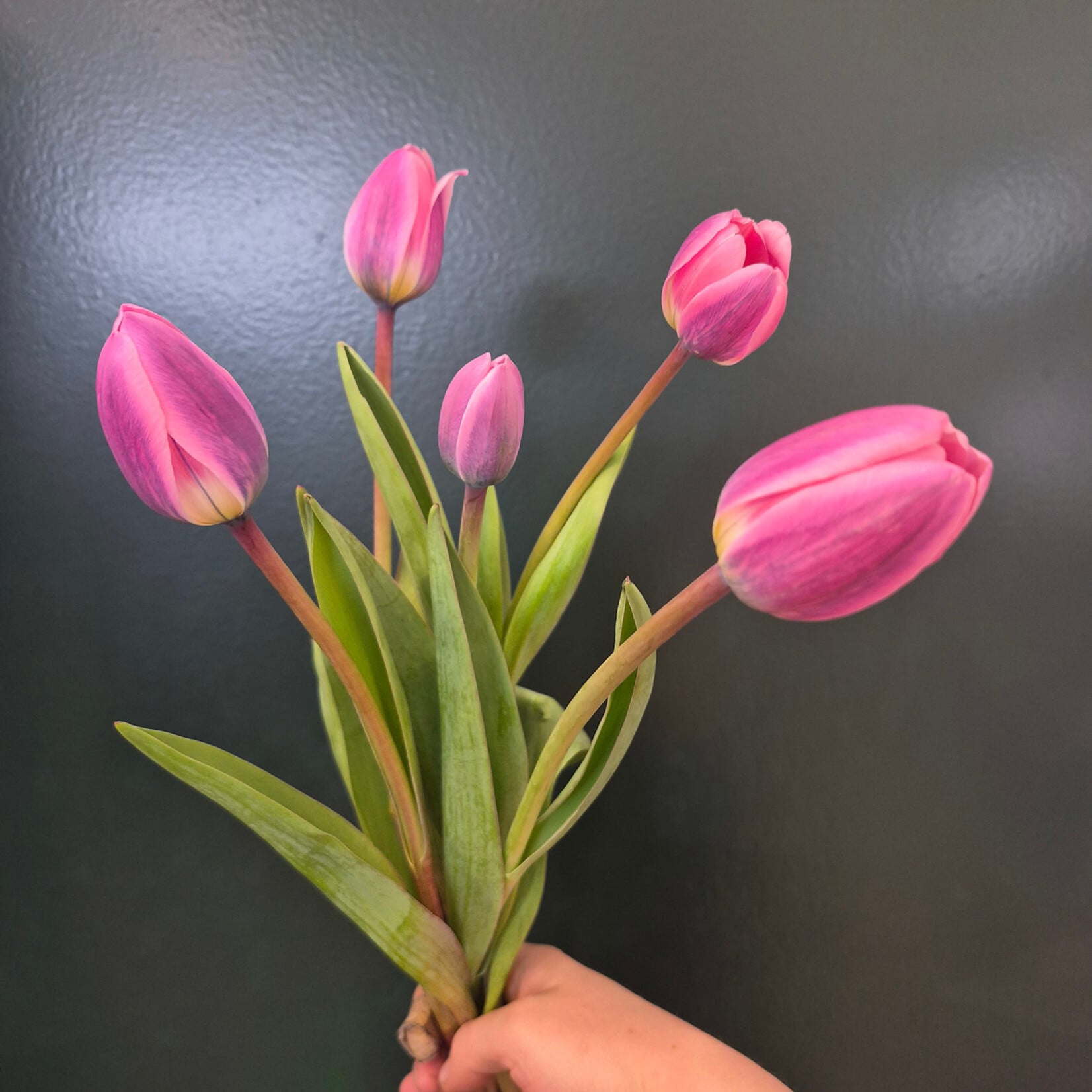 Local Tulip Bunch