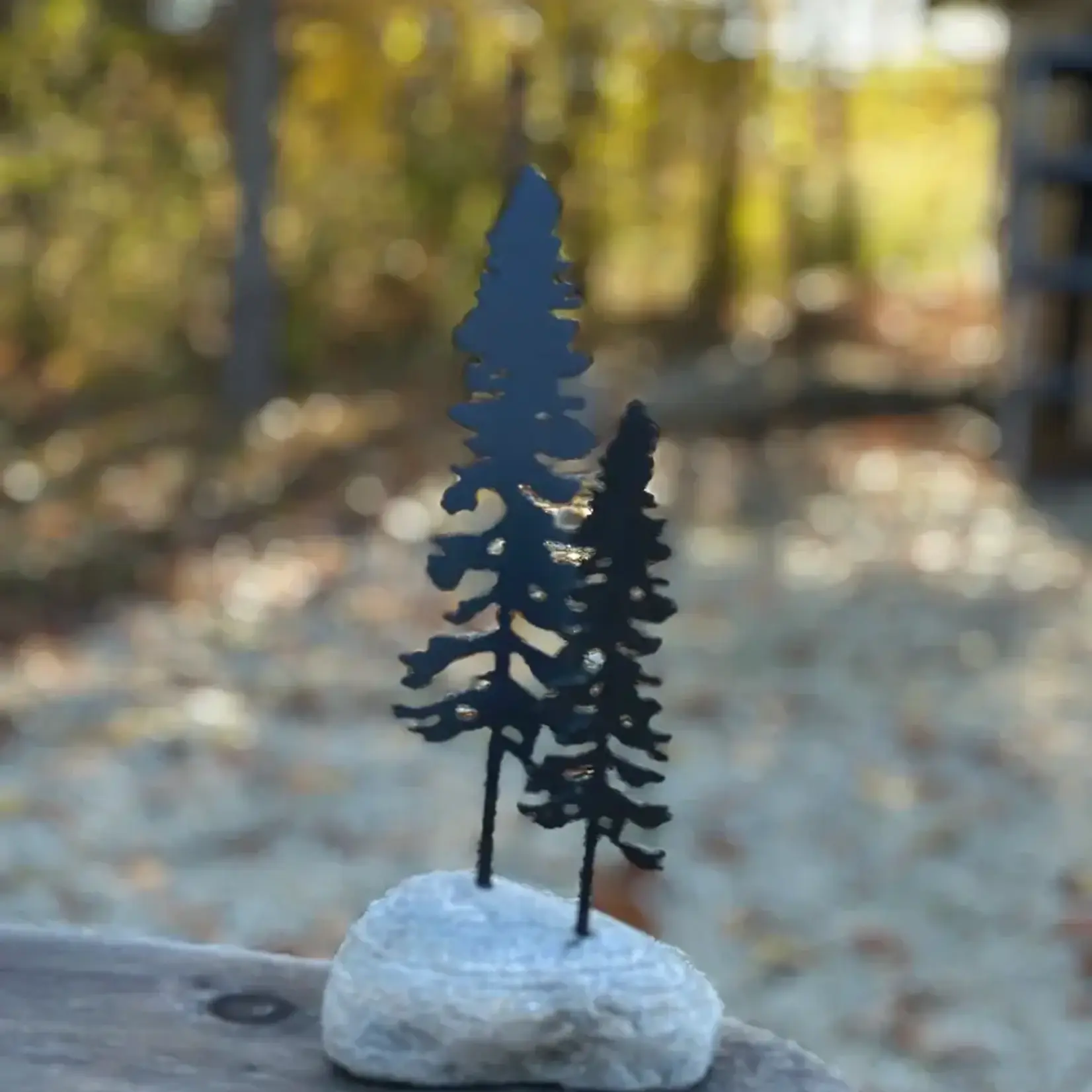 Double Pine in Rock