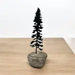 Small Pine in Rock