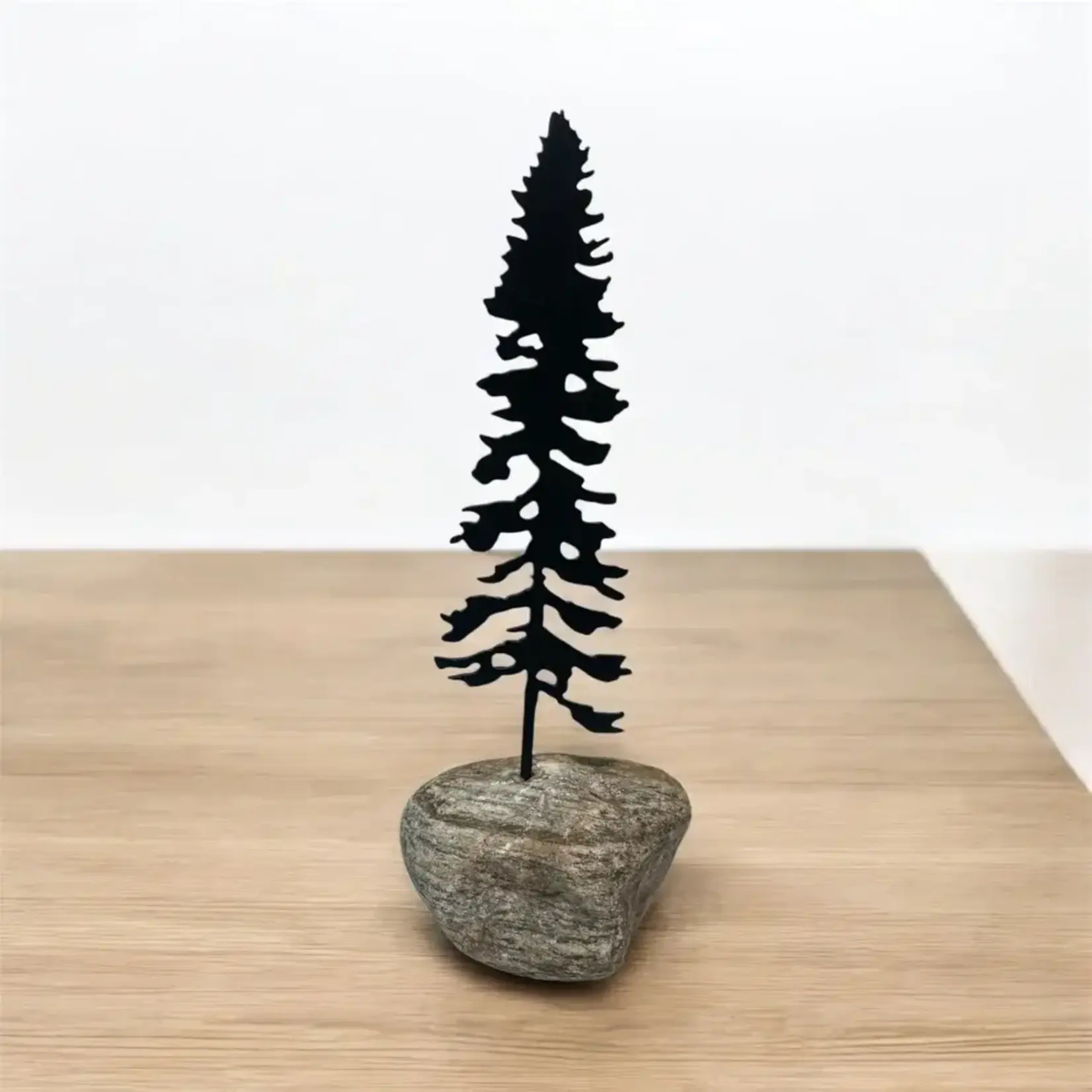 Small Pine in Rock