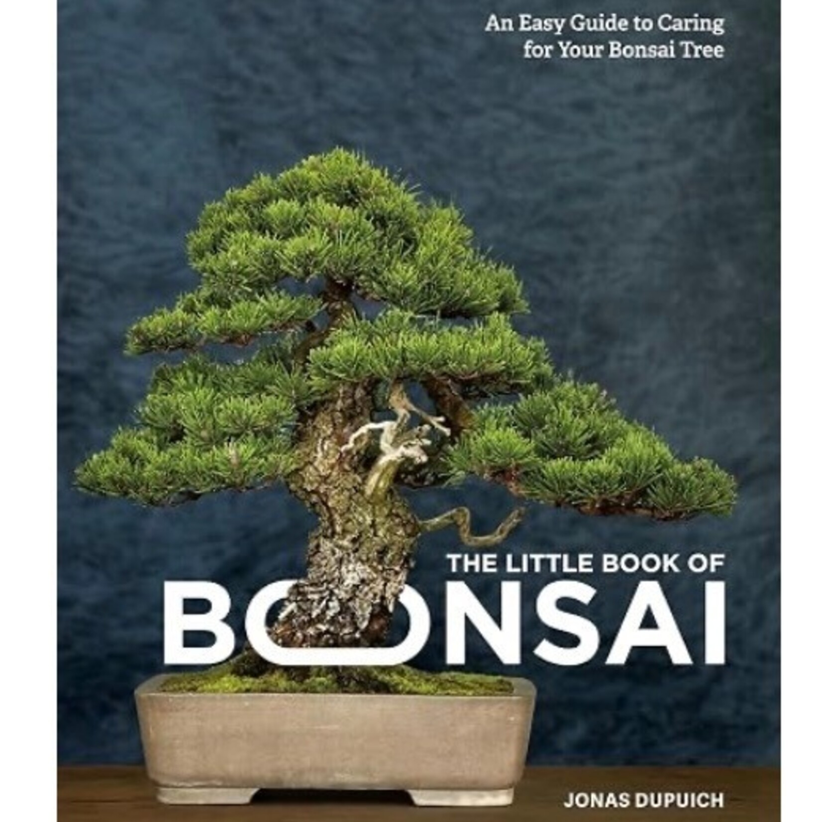 Book, The Little Book of Bonsai