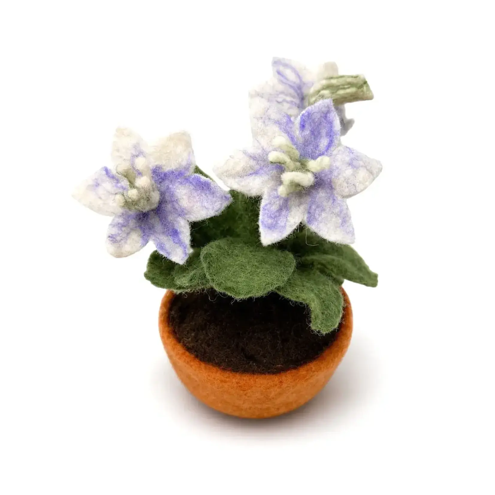 Plant, Felt Flower Pot