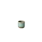 Potcover, Caribe 5in