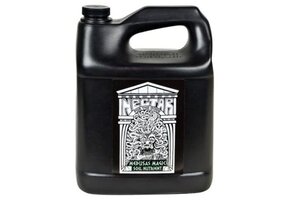 Nectar For The Gods Medusa’s Magic Gal