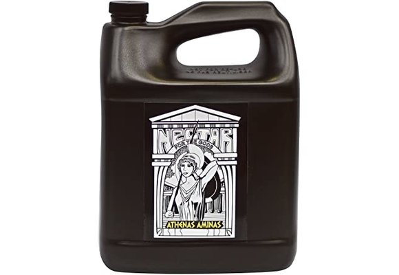 Nectar For The Gods Athenas Aminas Gal