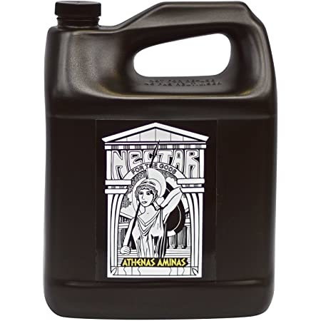 Nectar For The Gods Athenas Aminas Gal