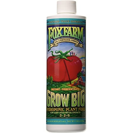 Fox Farm Grow Big 1qt