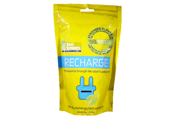 Recharge 16oz Bag IN STORE ONLY*