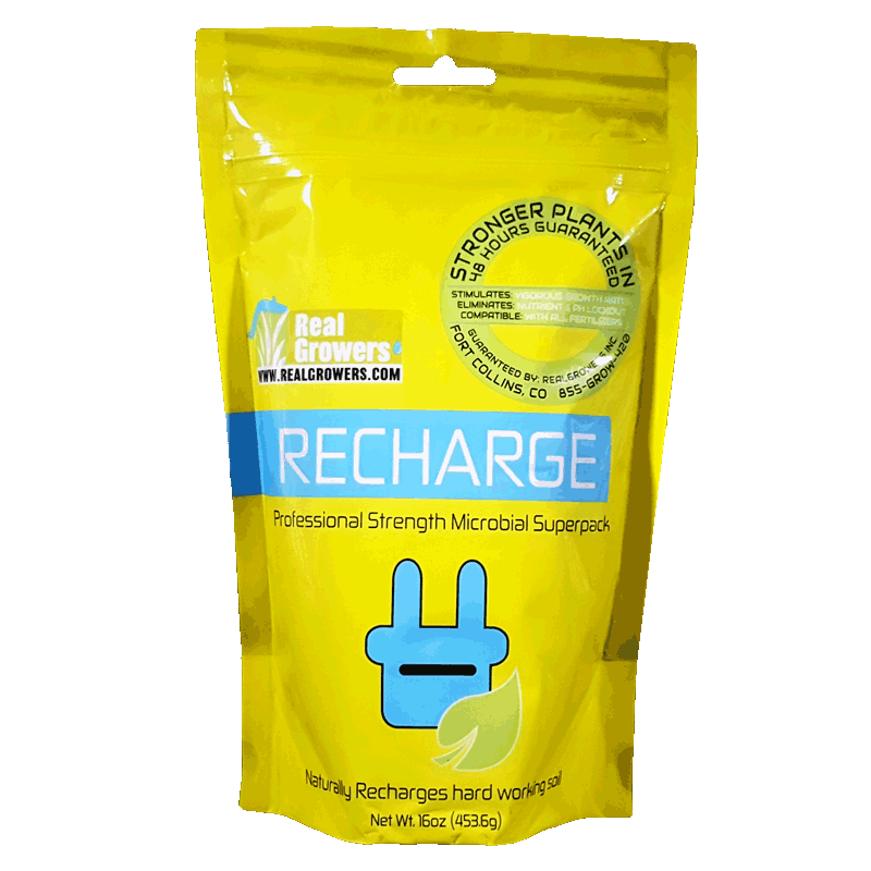 Recharge 16oz Bag
