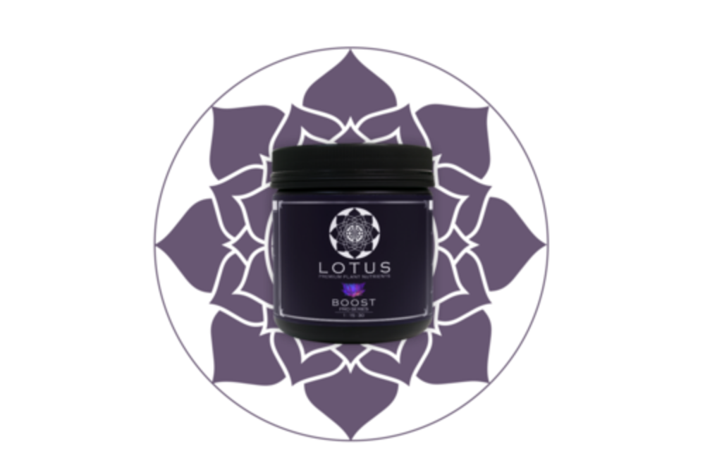 Lotus Boost 36oz