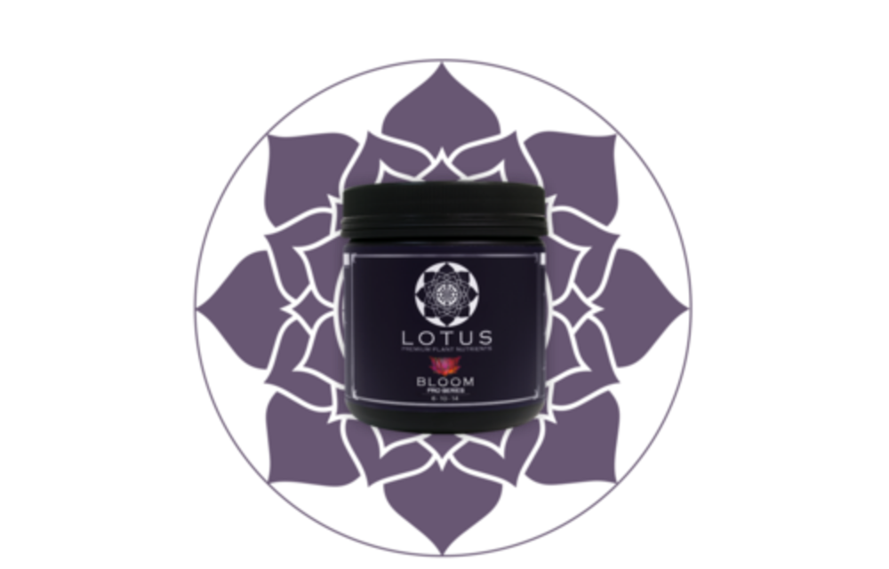 Lotus Bloom 32oz