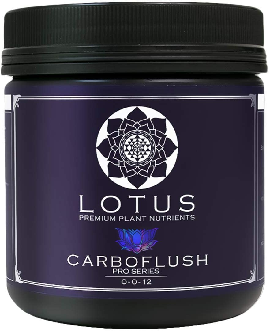 Lotus Carboflush Small