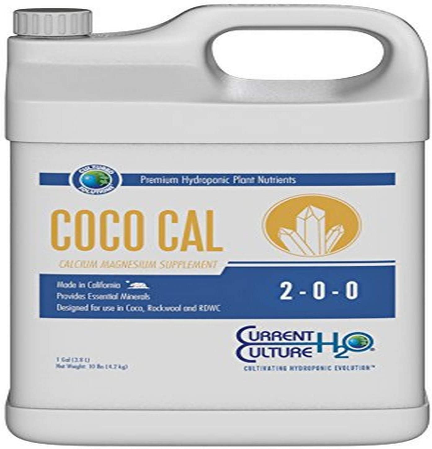 Coco Cal Gal Current Culture