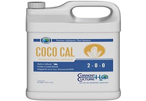 Coco Cal Quart Current Culture