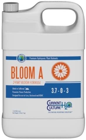 Bloom A Gallon Current Culture