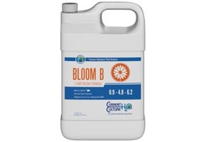 Bloom B Quart Current Culture