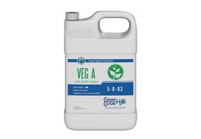 Veg A Gal Current Culture