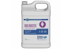 Bud Booster Gal Current Culture