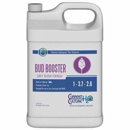 Bud Booster Gal Current Culture