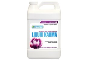 Liquid karma qt
