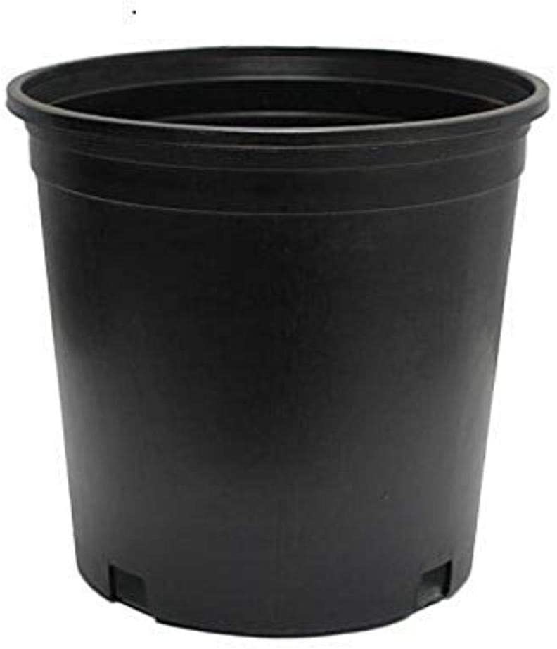 Gro pro plastic 3 gallon tall or squat pots
