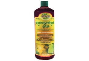 Microbe life Photosynthesis plus quart