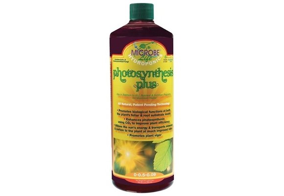 Microbe life Photosynthesis plus quart