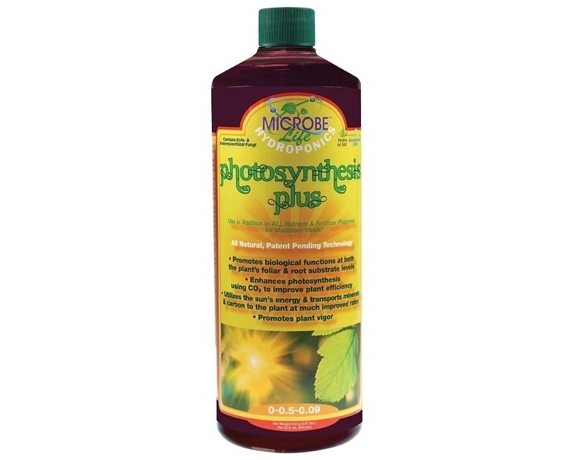 Microbe life Photosynthesis plus quart