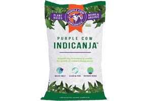Purple Cow Indicanja Soil