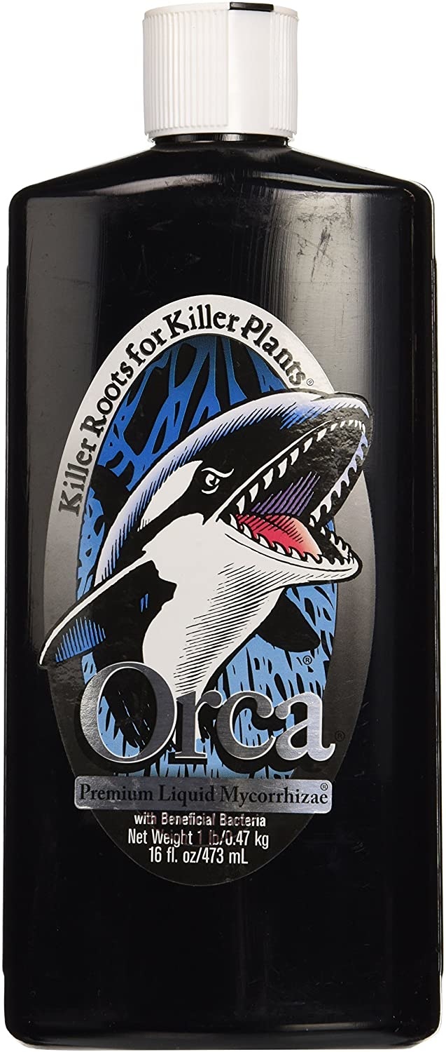 Orca 16oz