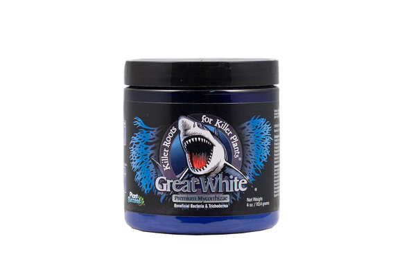 Great White 4 oz jar