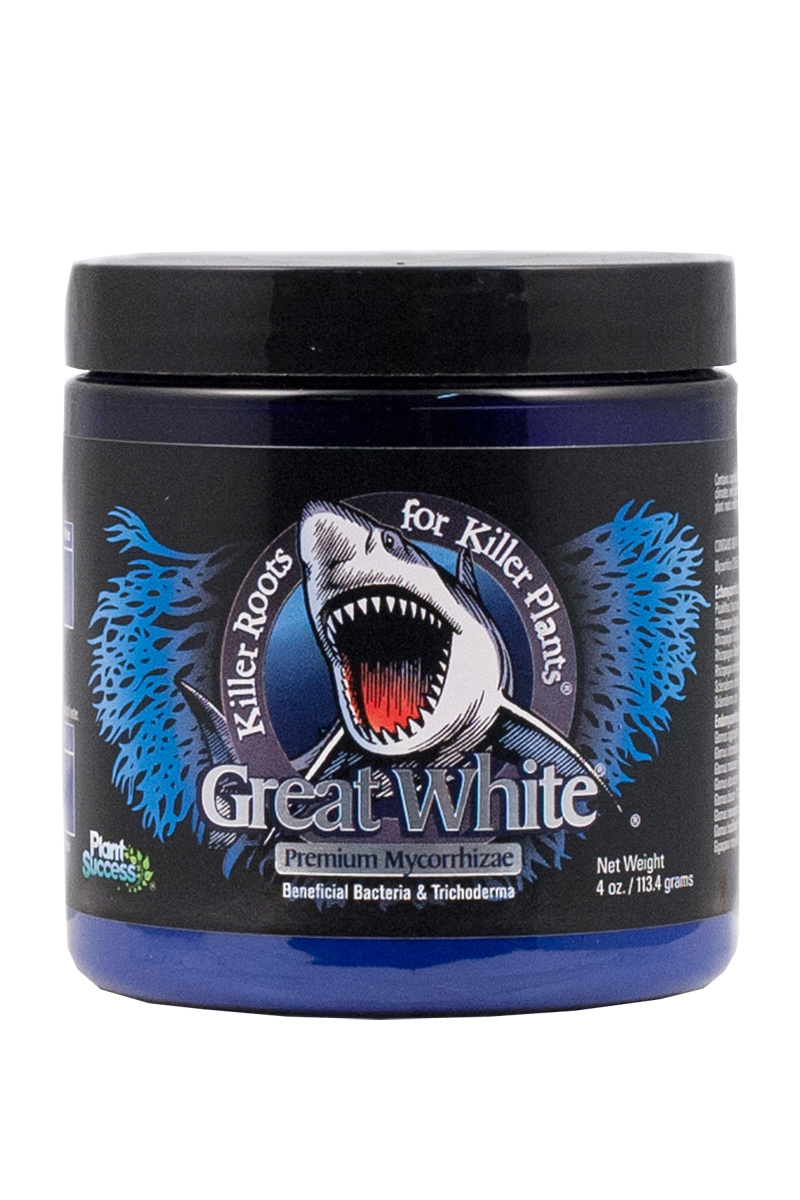 Great White 4 oz jar
