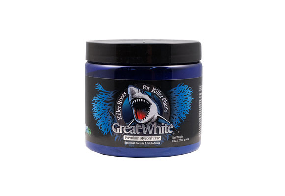 Great White 8 oz