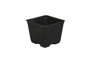gro pro 4 in Square pot
