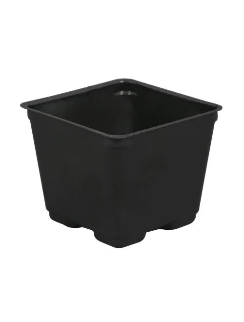 gro pro 4 in Square pot