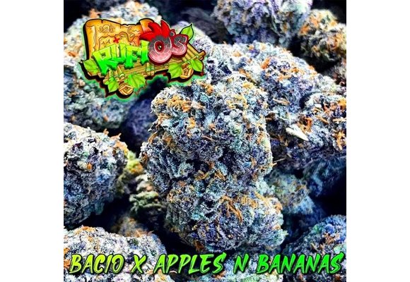 Rufios Starfire fem 11pk