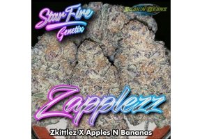 Zapplez Starfire fem 11pk