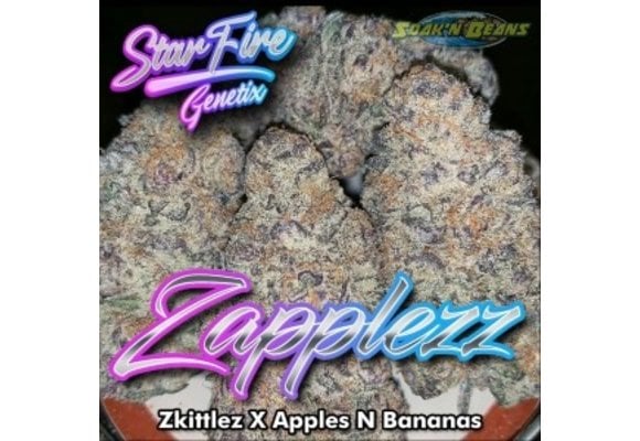 Zapplez Starfire fem 11pk