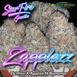 Zapplez Starfire fem 11pk
