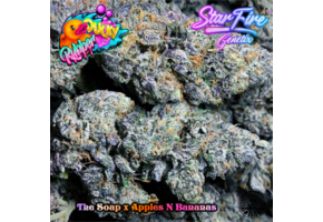 Rubber Ducky Starfire fem 11pk